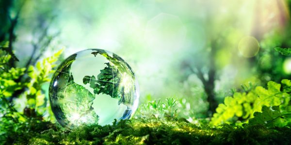 Crystal globe
